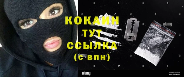соль ск Алзамай