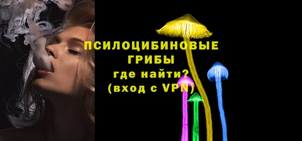 соль ск Алзамай