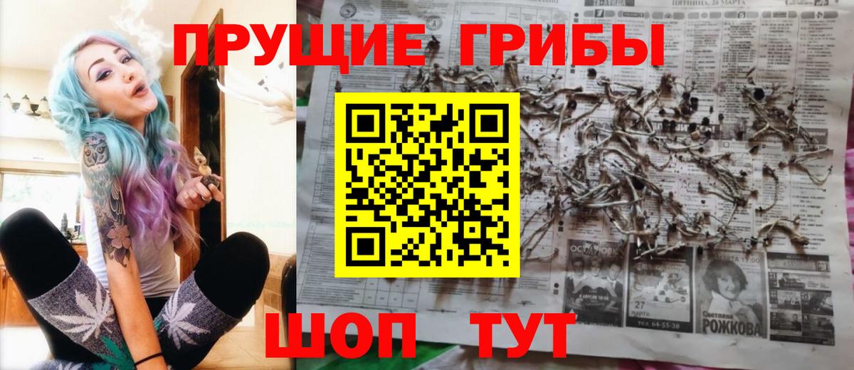 Осинники  Галлюциногенные грибы Cubensis  закладка  Вход с VPN 