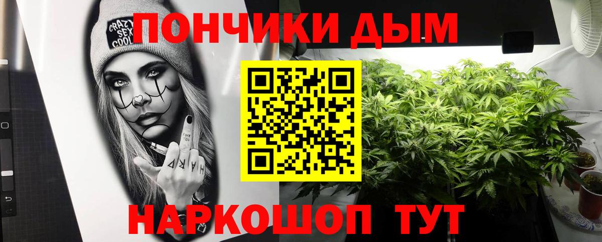 Каннабис планчик  Каннабис SATIVA & INDICA  Вход с VPN  Каннабис ГИДРОПОН  Осинники 